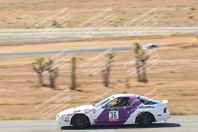 media/May-06-2023-Lucky Dog Racing (Sat) [[8f2256f436]]/Turn 2 10a/